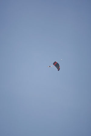 Hawaii08_SkyDiving_434