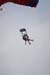 Hawaii08_SkyDiving_301