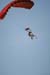 Hawaii08_SkyDiving_568